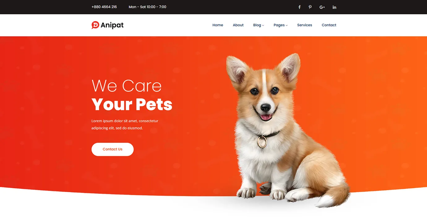 Pet Shop Template (Orange)