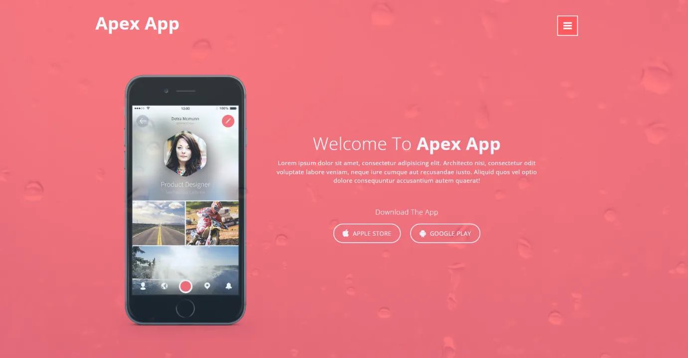 Webapp Website Template (Pink)
